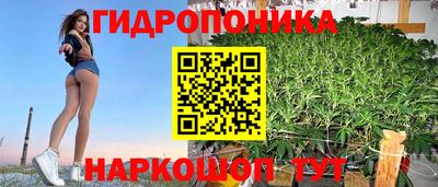 мдпв Славгород
