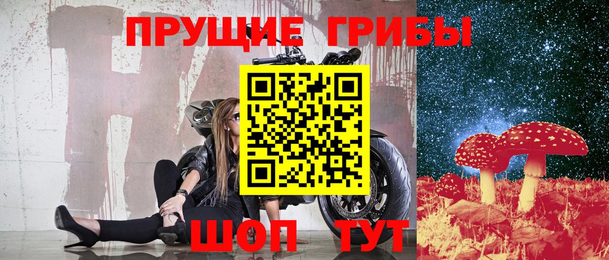 Галлюциногенные грибы Psilocybe  Вход с VPN  Галлюциногенные грибы мухоморы  Нурлат 